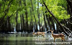 Wildlife and ecoturism in West Bengal