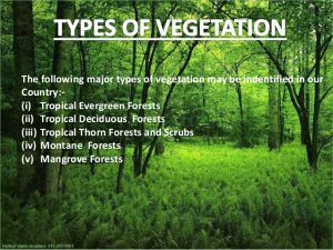 Natural Vegetation of West Bengal